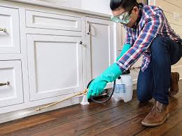 Best Pest Prevention Services  in Delhi Hills, OH